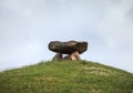 Big stones structure on top of a hill