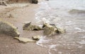 Big stones on wet sand at the sea coast. Royalty Free Stock Photo