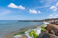 City Pionersky, Kaliningrad region. big stones and wooden breakwaters protect the coast of the Baltic Sea.