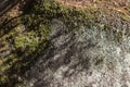 A big stonewall stone covered with moss. wallpaper, background, nature, surface, gray;