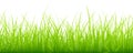 Big Meadow Horizontal Banner Green