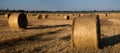 Big straw in bales on the field