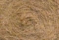 Big straw roll in farm Royalty Free Stock Photo