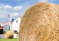 Big straw roll in farm Royalty Free Stock Photo