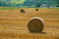 Big Straw roll lying in the farm Royalty Free Stock Photo