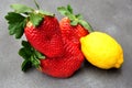 Big strawberry, giant size Royalty Free Stock Photo