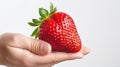 a big strawberry in hand on white background Royalty Free Stock Photo