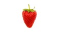 Big Strawberry on wihite background Royalty Free Stock Photo