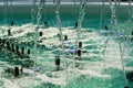 Big and strong water jets from the fountain with blue illumination in shopping center. Splashes and drops. Royalty Free Stock Photo