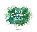 Big summer sale background with palm. Vector background for banner, poster, flyer, card, postcard, cover, brochure. Royalty Free Stock Photo