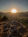 Big sun at sunset. Royalty Free Stock Photo