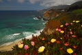 Big Sur California Royalty Free Stock Photo