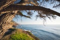 Big Sur, California Coastline. Scenic landscape. Famous California State Rout 1