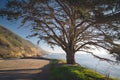 Scenic landscape, Cliffs and ocean, Big Sur, California