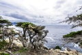 Big Sur Coast / Pescadero Point at 17 Mile Drive. Royalty Free Stock Photo