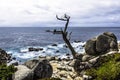 Big Sur Coast / Pescadero Point at 17 Mile Drive. Royalty Free Stock Photo