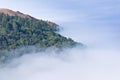 Big Sur Fog