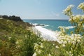 Big Sur, Monterey County, California. Royalty Free Stock Photo