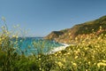 Big Sur, Monterey County, California. Royalty Free Stock Photo