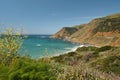 Big Sur, Monterey County, California. Pacific Ocean, cliffs, and native plants Royalty Free Stock Photo