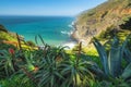 Big Sur at Ragged Point, California Coastline. Royalty Free Stock Photo