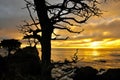 Big Sur Sunset over the ocean Royalty Free Stock Photo