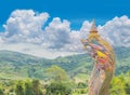 The big symbol of Phaya Naga, with blue sky cloud background, the public domain in the village and temple in Thailand Royalty Free Stock Photo