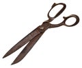 Big tailor scissors