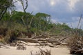 Big Talbot Island