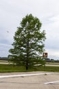 A big tall green tree off along the side of the interstate