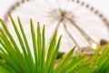 Big, tall white Ferris wheel in front of a perfect blue sky. Happy summer vacation feelings. Royalty Free Stock Photo