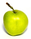 Big tasty apple