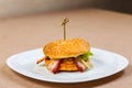 Big and tasty hamburger with bekon Royalty Free Stock Photo