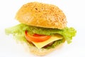 Big tasty hamburger with cheese close up on white background Royalty Free Stock Photo