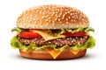 Big tasty hamburger on white background Royalty Free Stock Photo