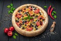 Big and tasty pizza with different types of meat Royalty Free Stock Photo