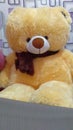 a big teddy bear becomes a girl& x27;s playmate