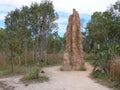 Termite mound in Litchfield National Park, Northern Territory, Australia Royalty Free Stock Photo