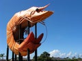The Big Prawn, Ballina NSW, Australia Royalty Free Stock Photo