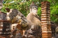 Big three antique sitting and sleeping buddha in world heritage Kamphaeng Phet historical park, Thailand.