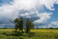 Thundercloud over wide landscape