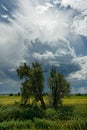 Thunderstorm atmosphere in the Oderbruch