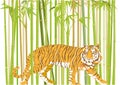Big tiger with jungle background -  illustration Royalty Free Stock Photo