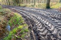 Big tire marks on a slippery path in the woods Royalty Free Stock Photo