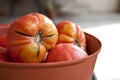 Big tomatoes Royalty Free Stock Photo