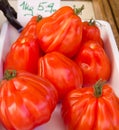 Big tomatoes Royalty Free Stock Photo