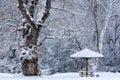 Big tree and benches with roof in the form of mushrooms covered with snow