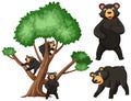 Big tree and black bears on white background Royalty Free Stock Photo