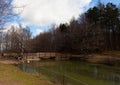 Big tree of the Calamone lake. National park of Appennino Tosco-Emiliano