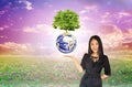 Big tree on earth above presenting hand of Asia women on fantasy Royalty Free Stock Photo